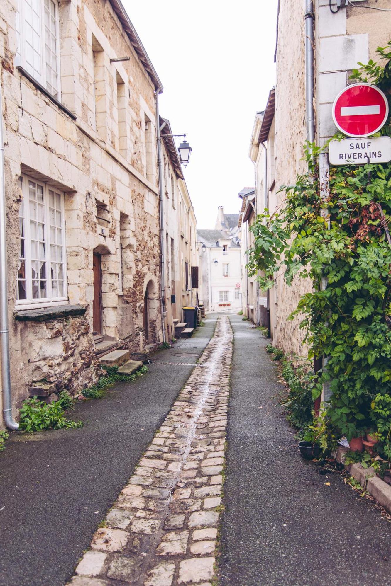 Le Regisseur Apartment Brissac-Quince Exterior foto