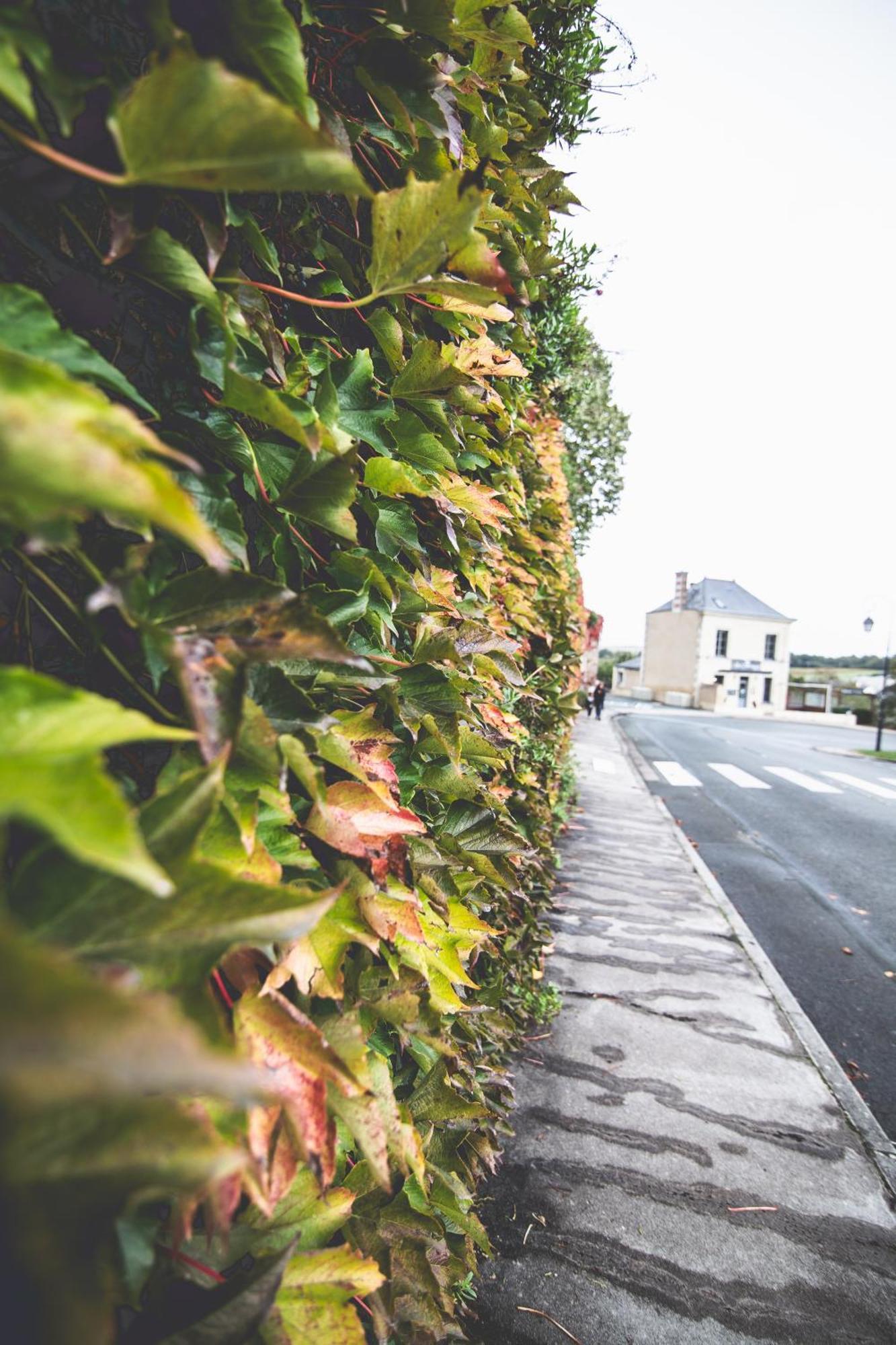 Le Regisseur Apartment Brissac-Quince Exterior foto